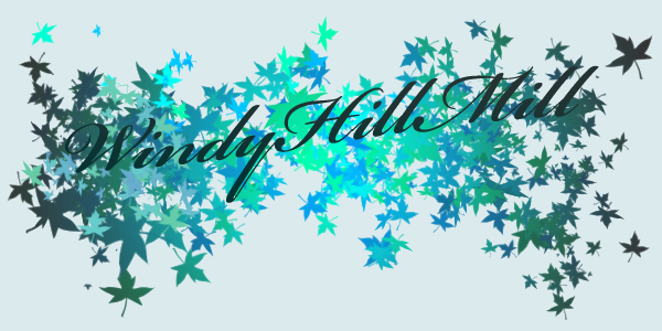 windy hill mill